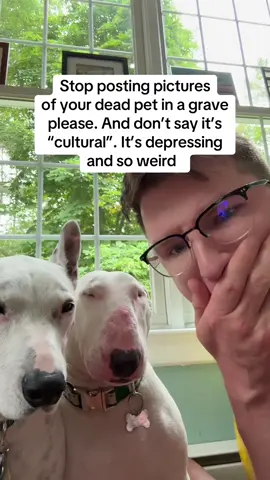 A post by @mistermainer on TikTok caption: It’s  disrespectful and triggering 