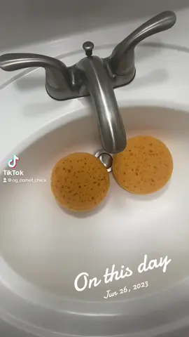 A post by @og_comet_chica on TikTok caption: #onthisday 