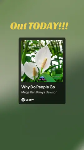 A post by @grandpakimyadawson on TikTok caption: Link in bio!!! @Mega Ran 
