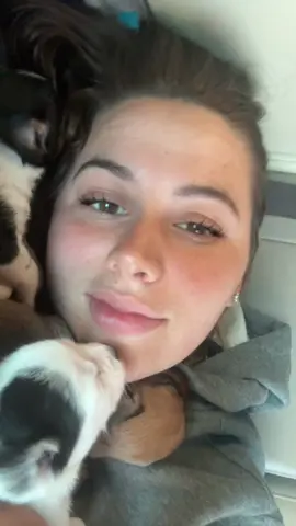 A post by @wander1ustgypsy on TikTok caption: This song was stuck in my head 