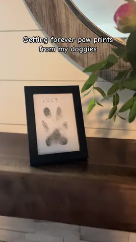 A post by @strivewithsoph on TikTok caption: Want a forever print of your dog’s paw? Order this kit today! It comes with multiple ink pads and pieces of paper in case the first try doesn’t turn out how you want. Plus, it also comes with a frame to showcase it in! 🐶 #tiktokshop #tiktok #dog #dogsoftiktok #goldenretriever #anatolianshepherddog #pawprint 