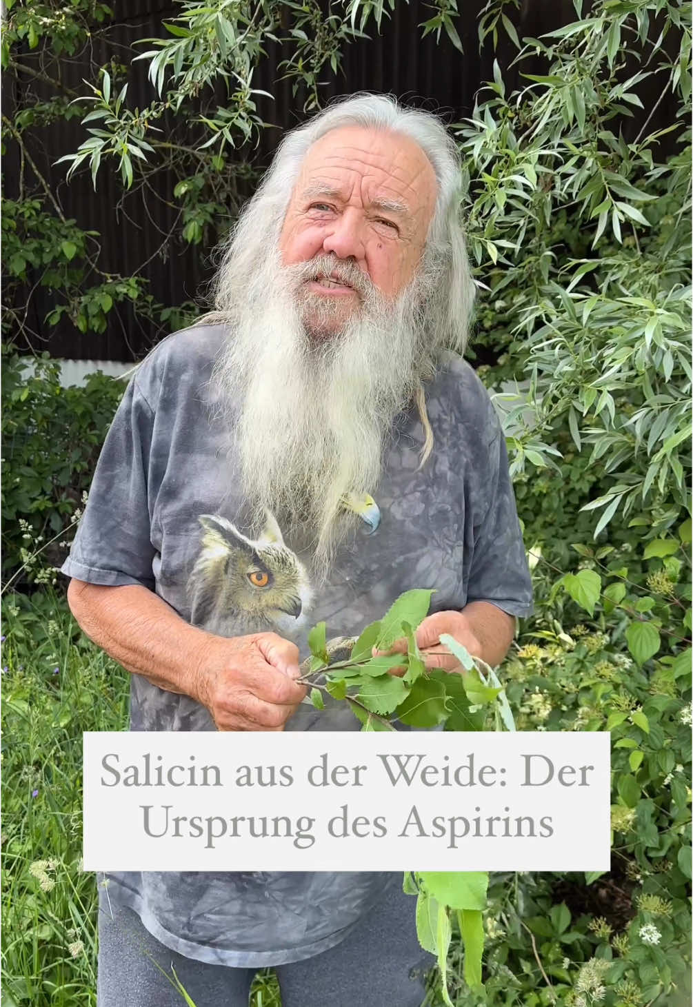 A post by @wolfdieterstorl on TikTok caption: Die Weide. 🌳Ihre Rinde trägt das Salicin der Schmerzen lindert und Fieber vertreibt. Schon unsere Vorfahren wussten um diese Kraft, lange bevor die moderne Chemie daraus das Aspirin machte.  🐺🌱 #gesund #natur #geschichten #baum #germany #viral