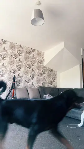 A post by @paigeeallen1 on TikTok caption: YAHHHHXX