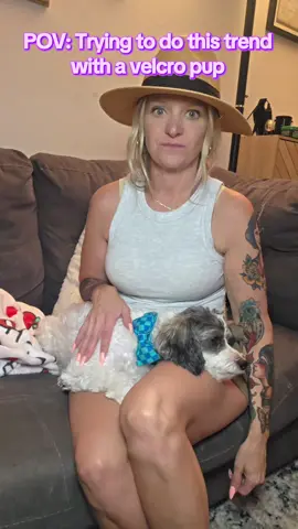 A post by @singlemomsaga on TikTok caption: Velcro pup #research #funny #viral #singlemomsaga #creator #trends 