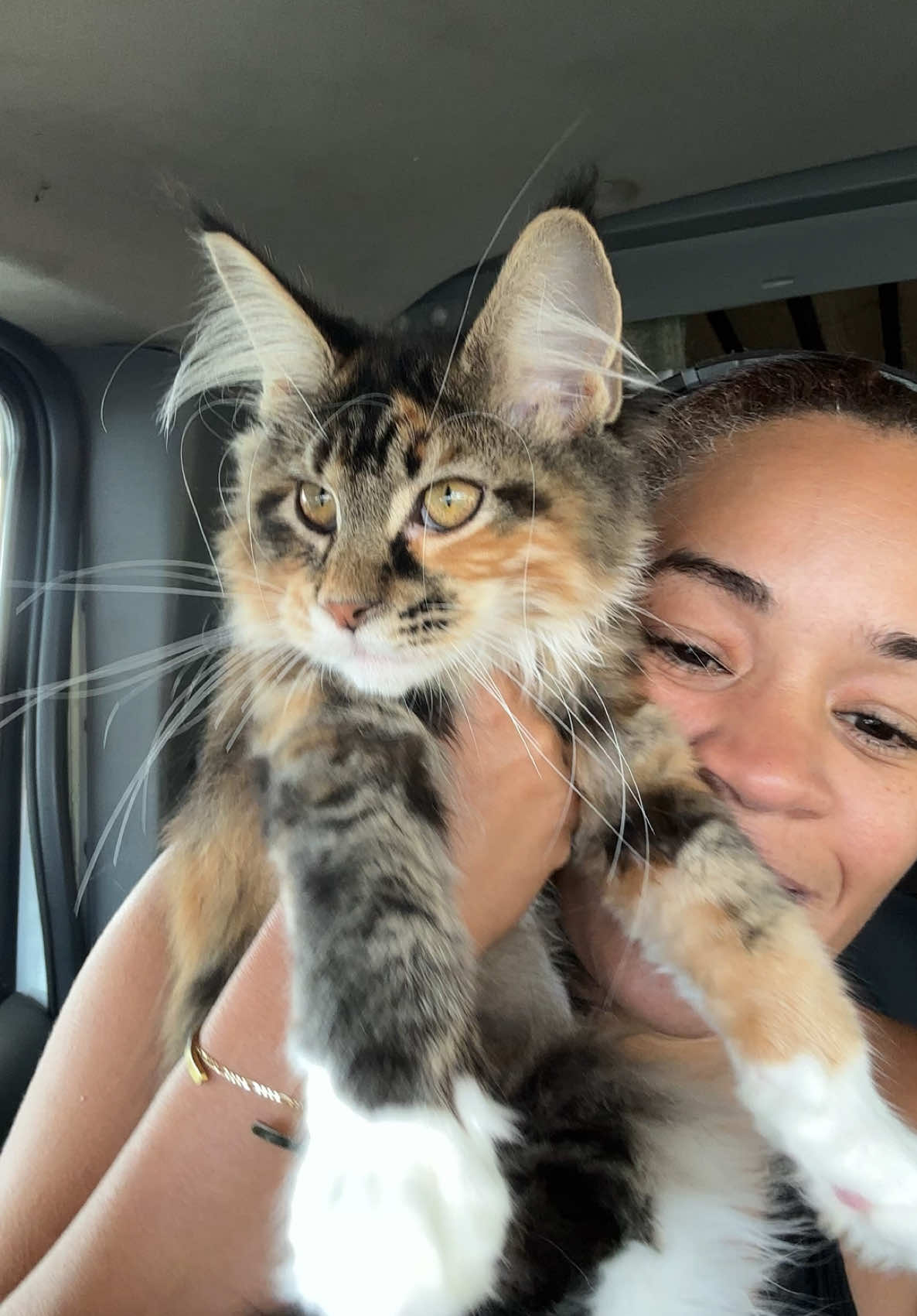 A post by @thereallifesnowwhite on TikTok caption: 13,548 miles down and 3,100 left to go