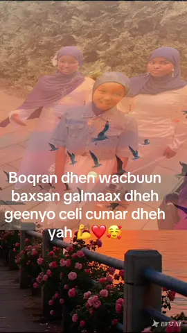 A post by @xayat071 on TikTok caption: @umu aamino❤️😘🥰⚘️🤫 @Madxawenah CIyal Xamar⚖️ @GABAR ; SOMALI🇸🇴 @ayuushbarre 