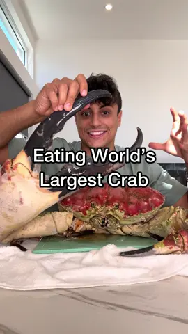 A post by @nick_kratka on TikTok caption: Tasmanian Crab Mukbang 🤤 #crab #seafood #seafoodlover 
