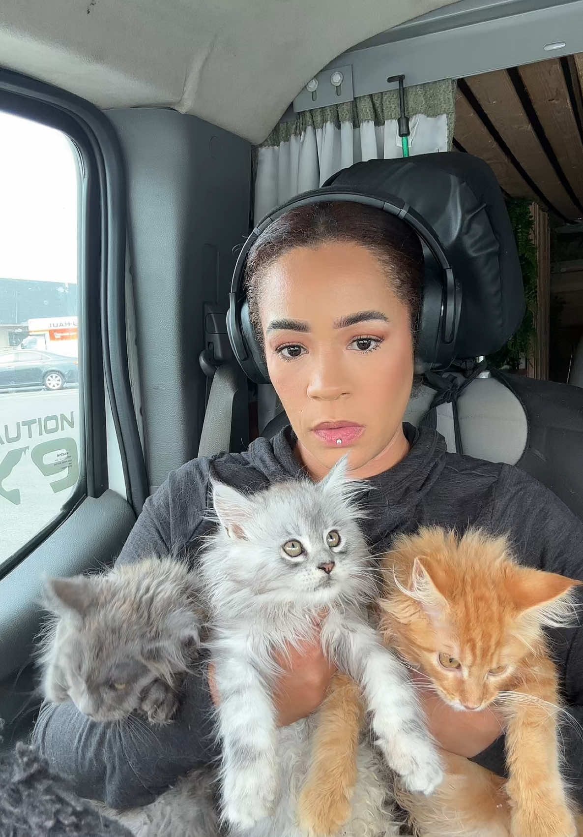 A post by @thereallifesnowwhite on TikTok