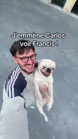 A post by @pierre2lahousse on TikTok caption: #collage avec @Tanguy Vertir 