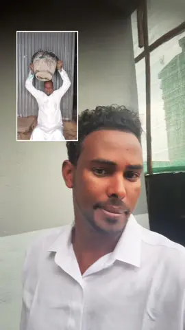 A post by @bisle_1 on TikTok caption: @Goat Geeseey 🐐🇸🇴  Ninkan  hala garab istaago somaliyeey xitaa wuu isqaawiyay xalad jirta awgeed 