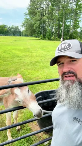 A post by @thedadbodveteran on TikTok caption: Let me introduce Eddie Murphy who live on the property of my sons wedding….more to come!