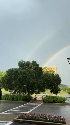 A post by @jazzytazzyyy on TikTok caption: almost forgot that this is the whole point #almostforgotthisisthepoint #rainbow 