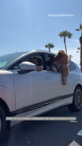A post by @brodiethatdood on TikTok caption: Does your dog insist on riding shotgun too? #HyundaiPartner #IONIQ9 @Hyundai USA #dogdad #goldendoodle #carreviews