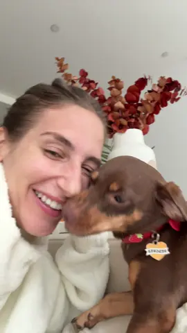 A post by @amandabatula on TikTok