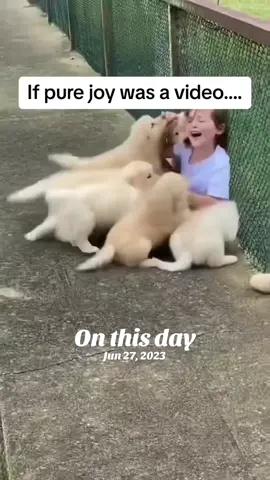 A post by @thebudgetballer on TikTok caption: I dare you not to smile!  