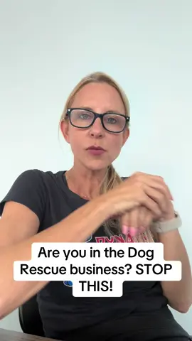 A post by @dynamitedogtraining on TikTok caption: #dogtrainer #fyp #dogtraining #doggo #dogtrainingmadesimple 