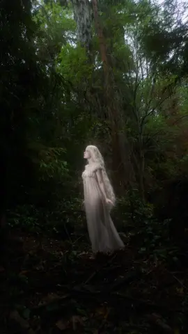 A post by @emackelder on TikTok caption: My lighting tips: 3 ways to use your @amarancreators Ace 25c Directly on camera - easiest, most portable, striking direct look C stand arm - try mounting 2 aces for twice the brightness Lightstand - angle in front for soft face light or mount it behind for ethereal backlight #amaranpartner #amaran #ethereal #lighting #photography 