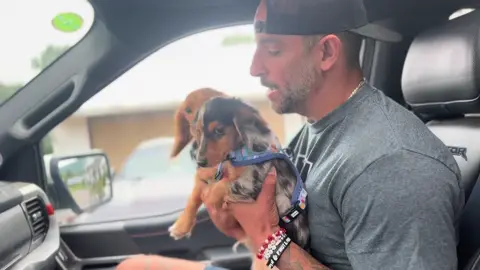 A post by @peanut_the_squirrel12 on TikTok caption: DM me for more info about our NEW TV SERIES! @P’nuts Freedom Farm our NONPROFIT has rescued over 400 animals in Peanut the Squirrels name ❤️ #fyp #video #puppy #dachshund #insta #fypp 