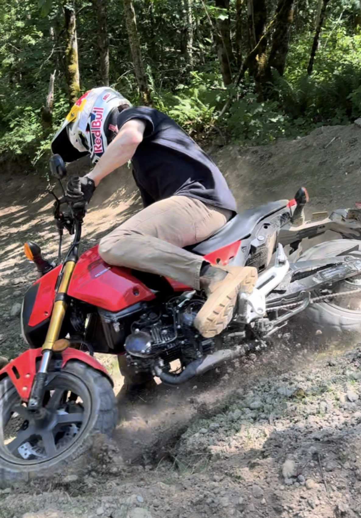 A post by @carsonbrown_910 on TikTok caption: Tag someone who needs to hit the moto track on a Grom 😂 The MotoSport Hillsboro grom keeps on shredding 🔥 @Red Bull Motorsports @Red Bull @All Balls Racing @MotoSport.com #honda #grom 🎥: @Charlie McDermott Hale 