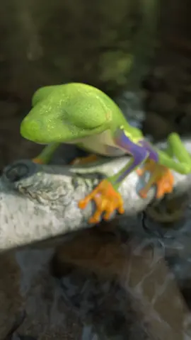 A post by @krazymations on TikTok caption: Have a relaxing weekend guys 😊 #weekendvibes #chill #3danimation #krazymations 