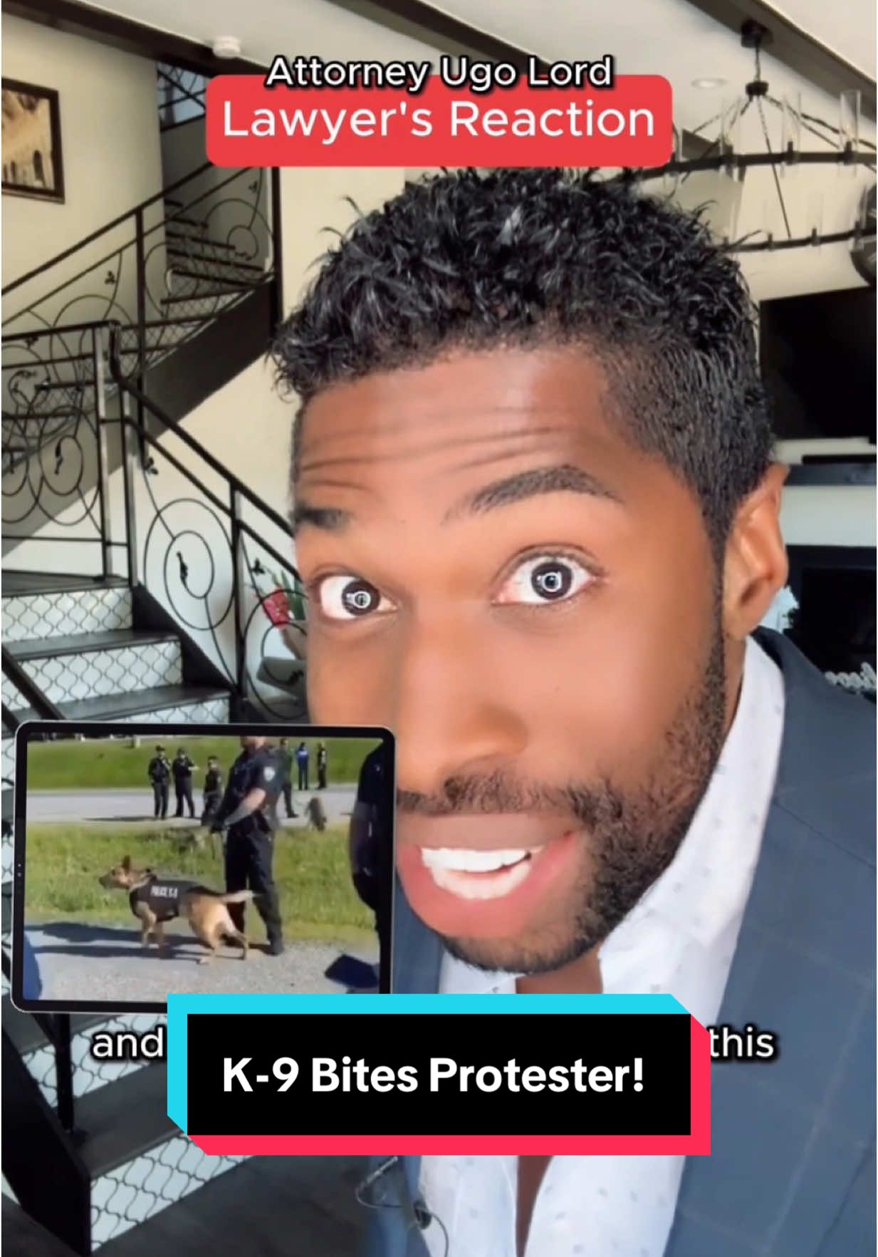A post by @ugolord on TikTok caption: K-9 Attacks Protester From Behind—Who Do You Think is Liable? Attorney #UgoLord reacts! #lawyer #TikTokPartner #TikTokLearningCampaign #lawyersoftiktok 