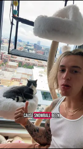 A post by @jimmysotos4 on TikTok caption: Snowball gets it