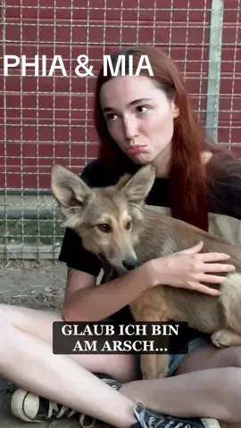 A post by @malte.zierden on TikTok caption: wie komm ich aus der Nummer wieder raus? 🥲 @Phia @Notpfote #AnimalRescue 