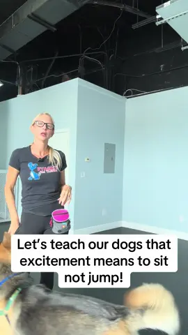 A post by @dynamitedogtraining on TikTok caption: #dogtrainer #fyp #dogtraining #doggo #dogtrainingmadesimple 