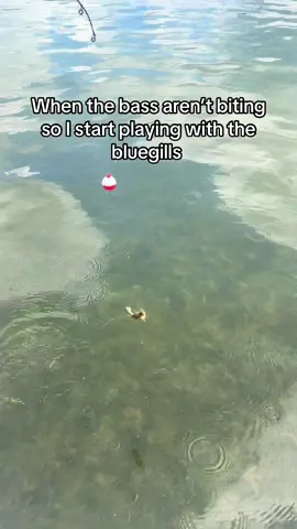 A post by @kylie..porter on TikTok caption: Gotta get some action somehow #fishing #fishinglife #fishtok #fish #bluegill #bassfishing #bass 