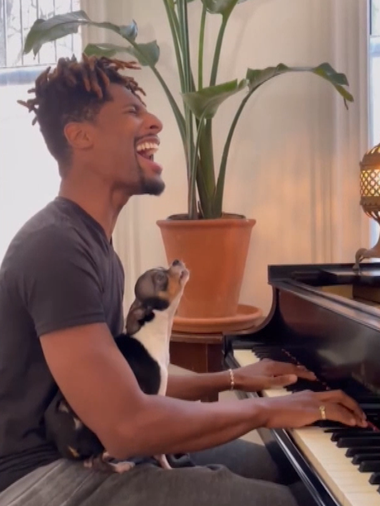 A post by @jenniferhudsonshow on TikTok caption: Our pets tolerate us so much! 😂 @iamjonbatiste