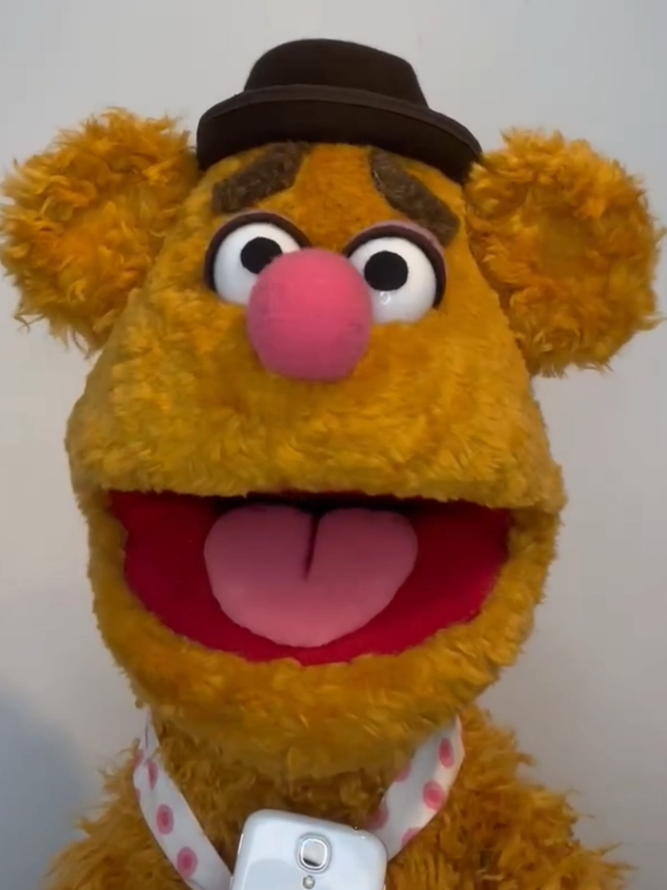 A post by @kmup_tv on TikTok caption: let it play out, lol #funny #humor #dentist #dadjokes #dadjoke #muppets 