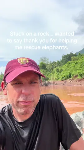 A post by @planting_peace on TikTok caption: Thank you for helping me rescue elephants! Love you all! - Aaron/Planting Peace 