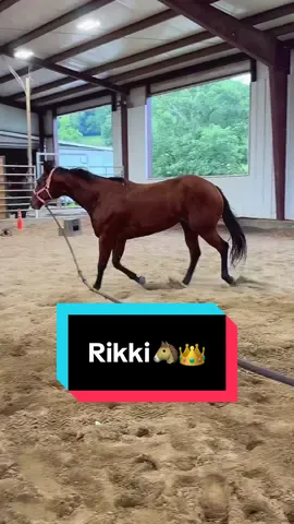 A post by @katievanslyke on TikTok caption: Let’s longe Princess Rikki🐴👑 #baymare #maresoftiktok #longeline #westernpleasure #broodmare 