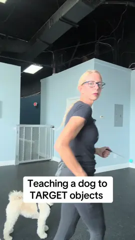 A post by @dynamitedogtraining on TikTok caption: #dogtrainer #fyp #dogtraining #dogtrainingmadesimple 