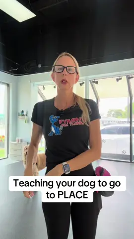 A post by @dynamitedogtraining on TikTok caption: #dogtrainer #fyp #dogtraining #doggo #dogtrainingmadesimple 