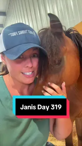 A post by @katievanslyke on TikTok caption: Janis is 319 days pregnant today and seeming very lovey👀🐴 #minihorse #minimare #foalwatch #minifoal 