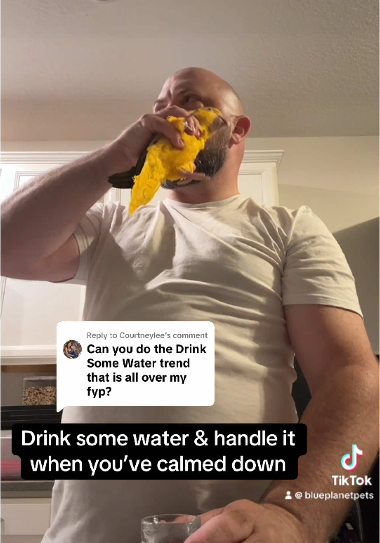 A post by @blueplanetpets on TikTok caption: Replying to @Courtneylee locked & loaded 😆