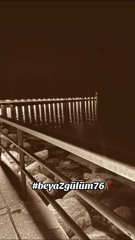 A post by @beyazgulum76 on TikTok caption: #beyazgülüm76🥀 #keşfetteyizzz #fyyyyy🩶#paşam💙🐾#sahil #keşfetteyizzz #music #viral_video #CapCut #🎶🎵🎶🎵🎶🎵🎧🔝🎤 #viral 