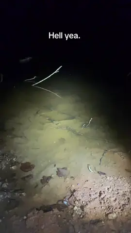 A post by @richii250 on TikTok caption: Best part ab the pond #fyp #relatable 