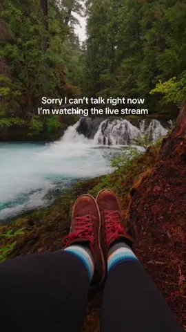 A post by @itsloganmarie on TikTok caption: Sorry too busy catching my feels at the stream #mountains #riverside #pacificnorthwest #pnwonderland #pnw #oregoncheck 