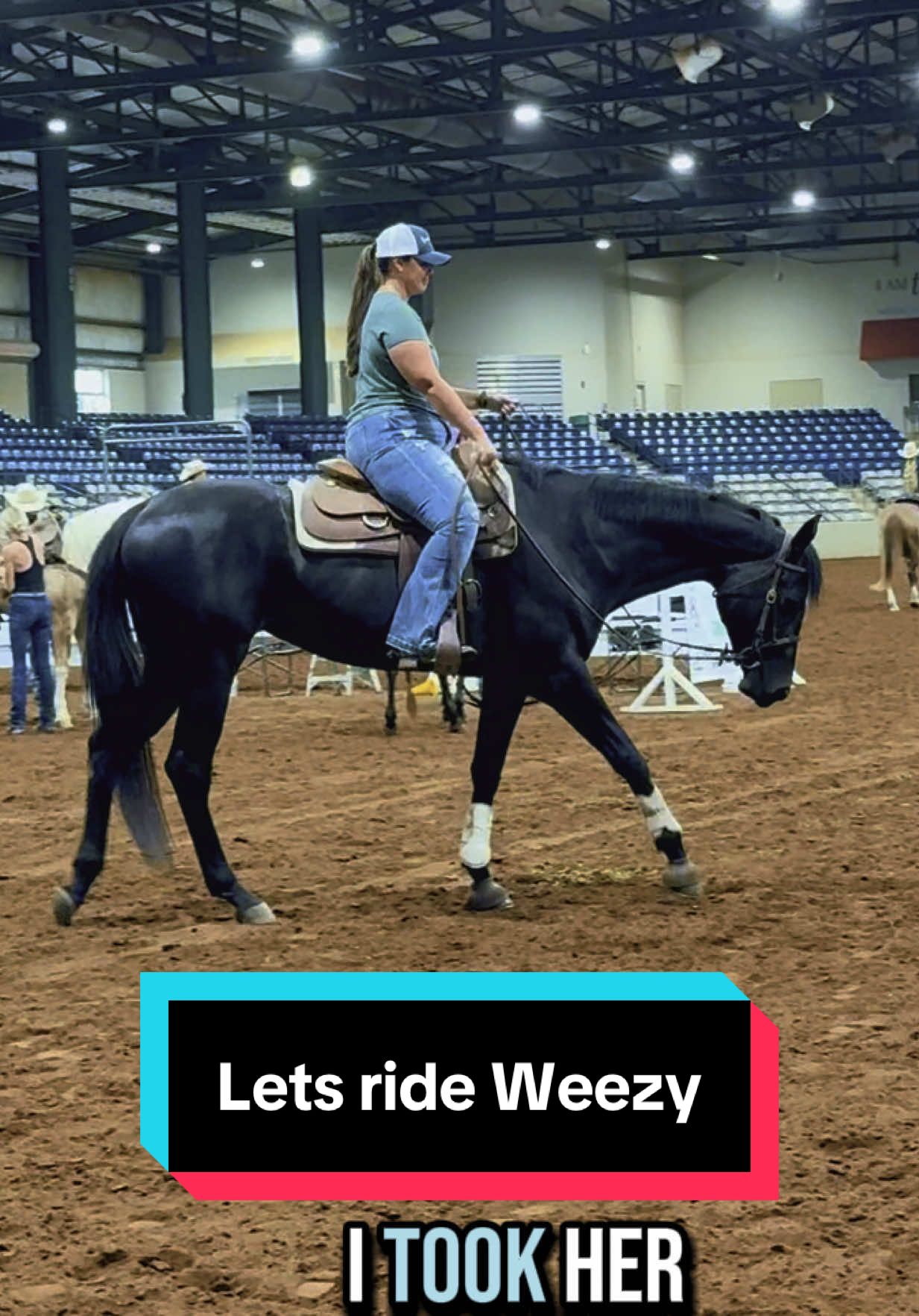 A post by @katievanslyke on TikTok caption: Let’s ride Weezy🐴🖤 #appendix #hunterundersaddle #horseshow #aqhashow #aqhafilly #maresoftiktok 