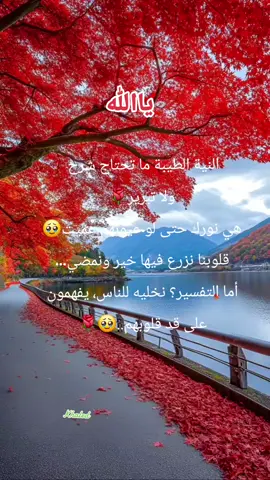 A post by @khaled12344eeee on TikTok caption: #الحمدلله_دائماً_وابداً #ياحي_ياقيوم_برحمتك_استغيث #سبحان_الله_وبحمده_سبحان_الله_العظيم #ffypシ🤲🕋❤ #🤲🤲🕋🕋🤲🤲 