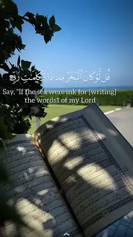 A post by @lkjh.gfdsa5 on TikTok caption: #القارئ_ياسر_الدوسري