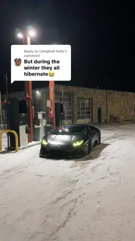 A post by @tonytorresp on TikTok caption: Replying to @Campbell Kelly winter tires and that’s it 🤷🏻‍♂️
