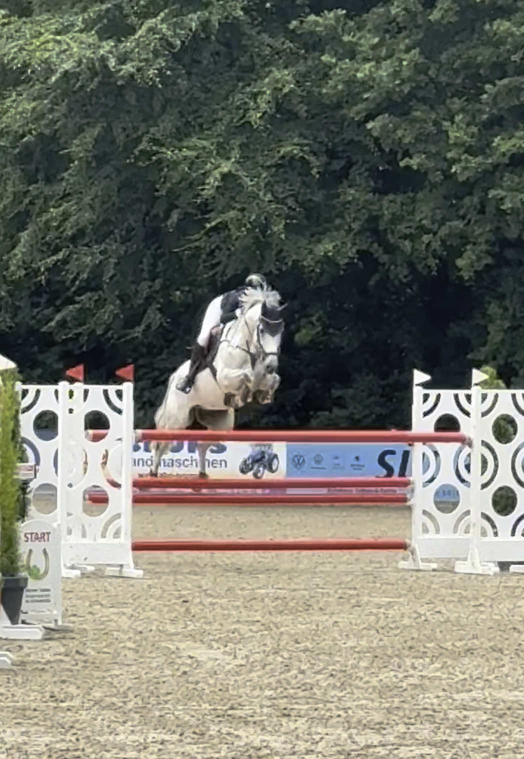 A post by @leonie.pander.official on TikTok caption: Best Tino didn’t touch a pole today in the 1m35 and placed 3rd!!🥉🤩Ready for the final❤️🍀#fy #fyp #konstantino #clearroundmachine 