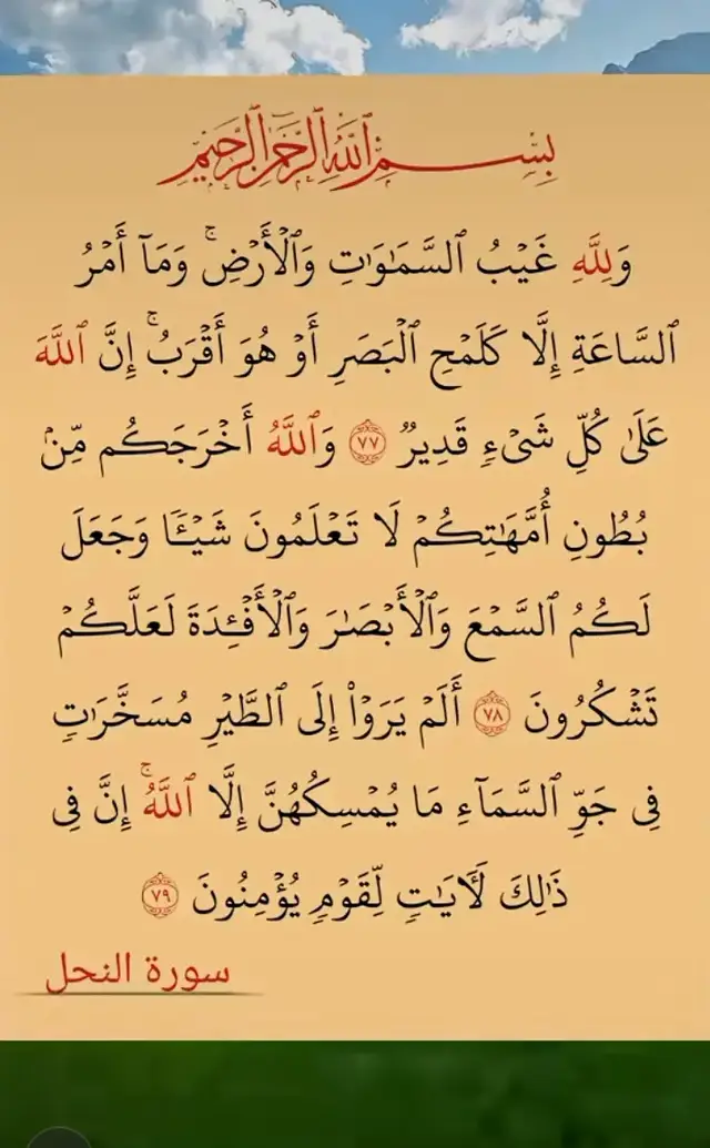 A post by @lkjh.gfdsa5 on TikTok caption: #القارئ_خالد_الجليل