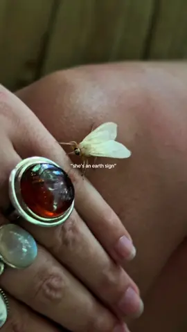 A post by @greenwitchdiaries on TikTok