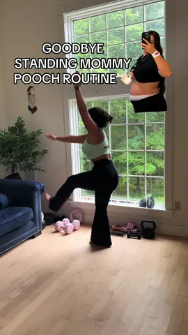 A post by @getfitwithjulia on TikTok caption: My TOP THREE STANDING MOMMY POOCH EXERCISES that helped me snatch my mommy pooch.  C section friendly ✅ and beginner friendly ✅ What’s Diastasis Recti (aka ab separation) it’s the transverse abdominal wall that’s separated which makes you look pregnant still aka mom pooch! It’s important to rehab the core & heal it so it closes and flattens out 🫶🏻  🗝️tip: while doing each remember to inhale relaxing your belly exhale pulling belly button to spine. Your pulling your abs back together. You will feel sore after! But trust me it’s worth it & it’s working🤍 #newmom #postpartum #postpartumworkout #mompooch #abseparation #diastasisrecti