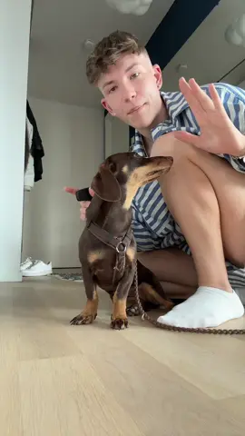 A post by @iamzuckerpuppe on TikTok caption: 3 mal dürft ihr raten wer bestimmt nicht mehr vergessen wird 🥹