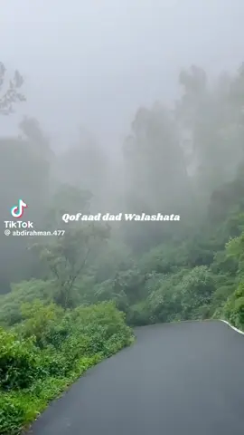 A post by @guribila267 on TikTok